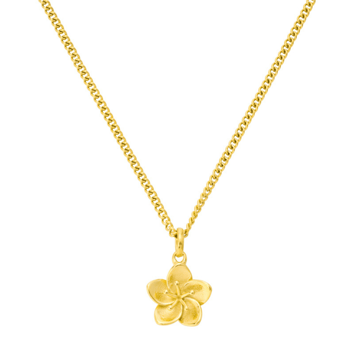 Coastal Crush Necklace Collection